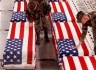 War casualties