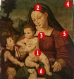 Possible Da Vince discovered