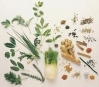 Pharma's Don't-Take-Vitamins Study Diametrically Opposed by Valid Study
