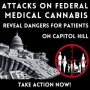 medical cannabis