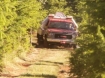 Salem Grass Fire