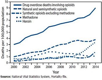 opioid drug deaths